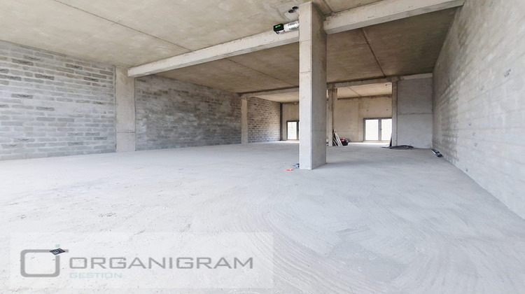 Ma-Cabane - Location Local commercial Sarrola-Carcopino, 178 m²