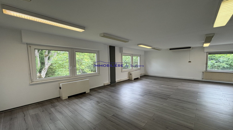 Ma-Cabane - Location Local commercial Schweighouse-sur-Moder, 323 m²