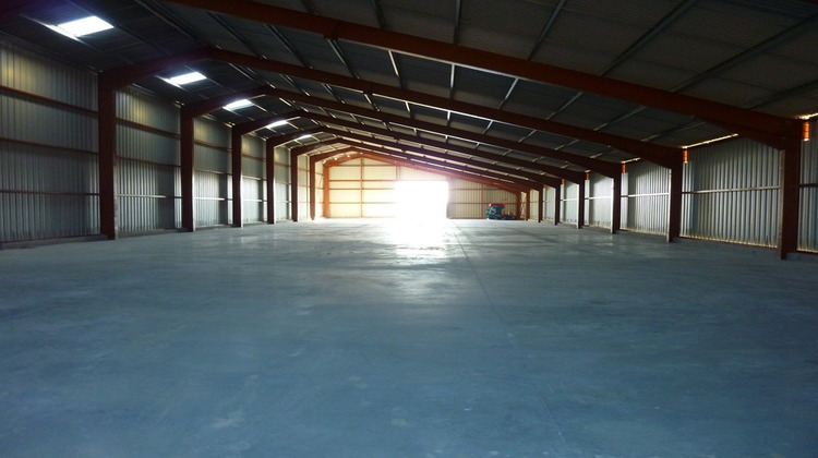 Ma-Cabane - Location Local commercial SEGREVILLE, 1200 m²