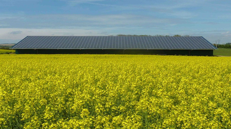 Ma-Cabane - Location Local commercial SEGREVILLE, 1200 m²