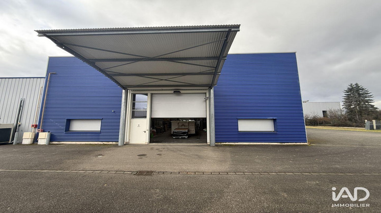 Ma-Cabane - Location Local commercial Selestat, 527 m²