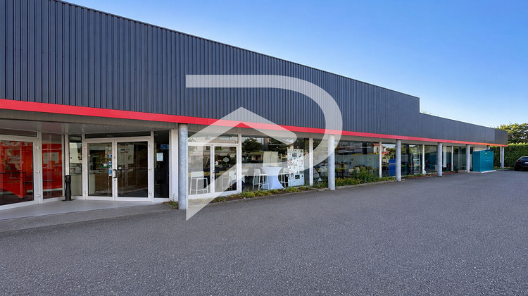 Ma-Cabane - Location Local commercial SOUFFELWEYERSHEIM, 500 m²