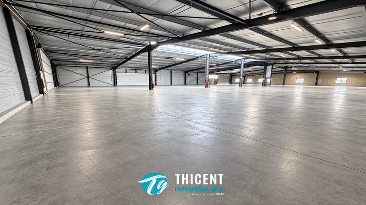 Ma-Cabane - Location Local commercial Soufflenheim, 1178 m²