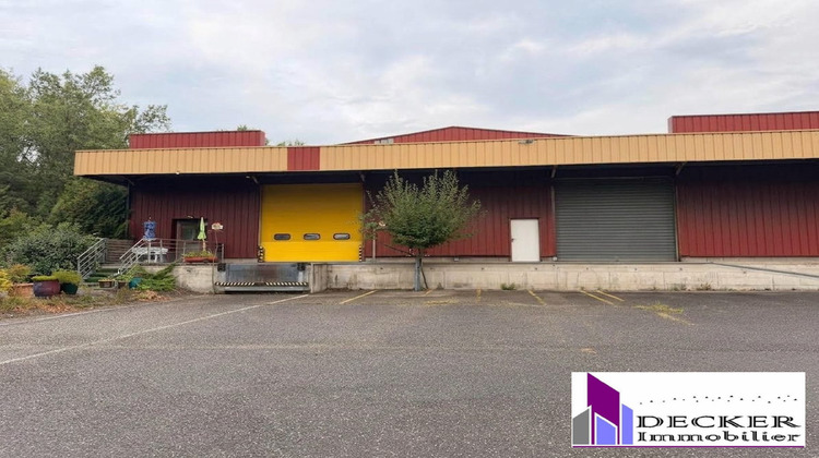 Ma-Cabane - Location Local commercial Steinbourg, 500 m²