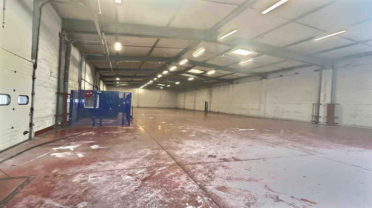 Ma-Cabane - Location Local commercial Stiring-Wendel, 4844 m²