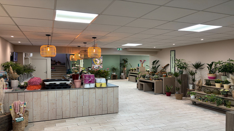 Ma-Cabane - Location Local commercial TALMONT-SAINT-HILAIRE, 300 m²