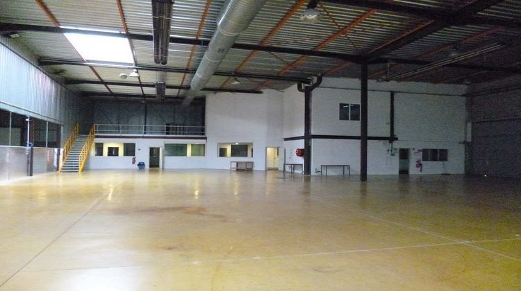 Ma-Cabane - Location Local commercial TOULOUSE, 2900 m²
