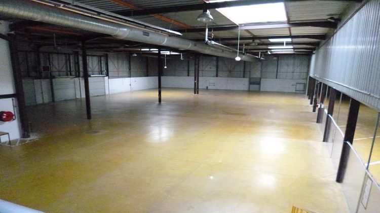 Ma-Cabane - Location Local commercial TOULOUSE, 2900 m²