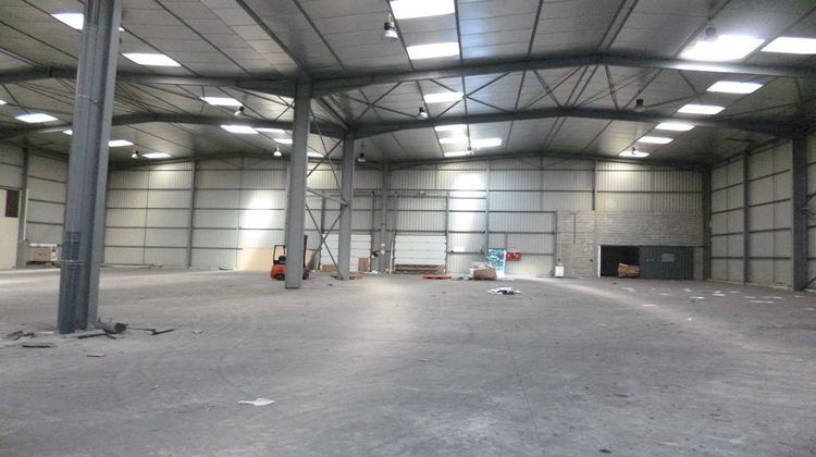 Ma-Cabane - Location Local commercial TOULOUSE, 1760 m²