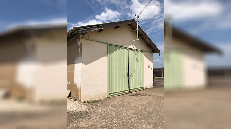 Ma-Cabane - Location Local commercial TOURNUS, 138 m²