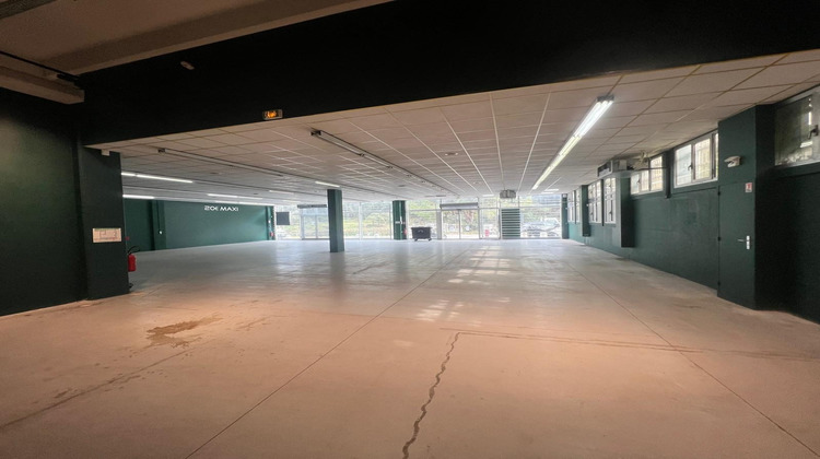 Ma-Cabane - Location Local commercial Vallauris, 480 m²