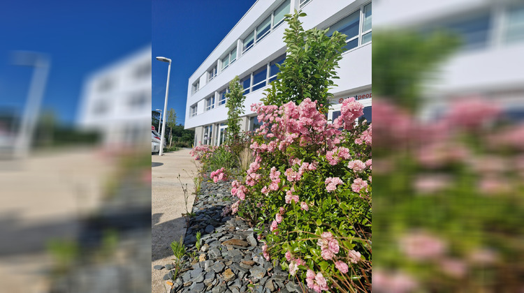 Ma-Cabane - Location Local commercial Vannes, 170 m²