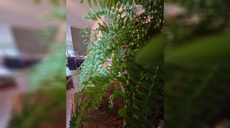 Ma-Cabane - Location Local commercial Vannes, 115 m²