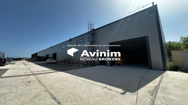 Ma-Cabane - Location Local commercial Vendres, 304 m²