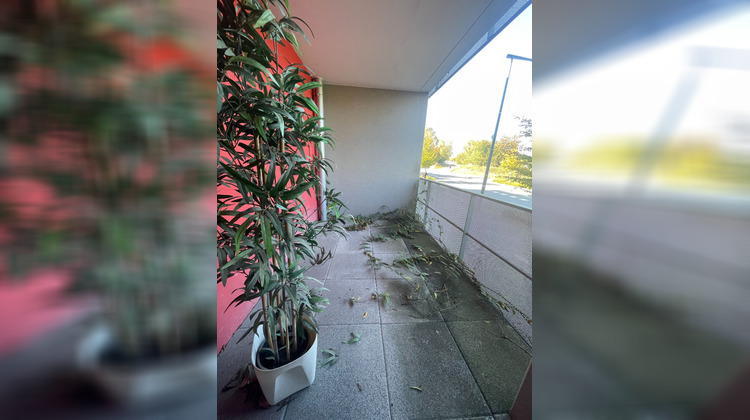 Ma-Cabane - Location Local commercial VEZIN-LE-COQUET, 35 m²