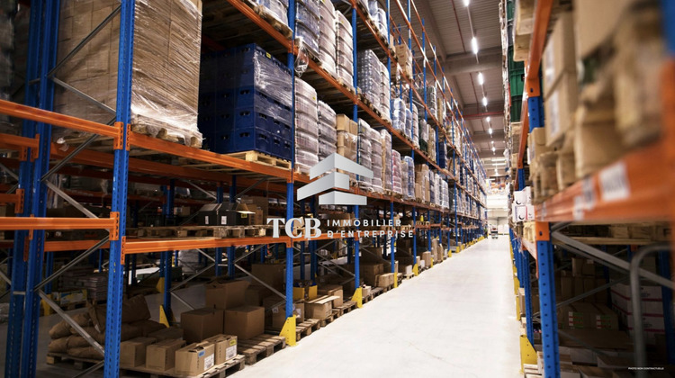 Ma-Cabane - Location Local commercial Vigneux-de-Bretagne, 948 m²