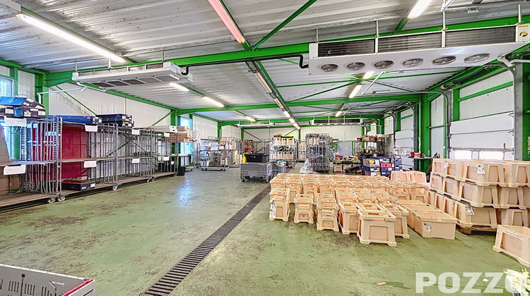 Ma-Cabane - Location Local commercial VIRE, 297 m²