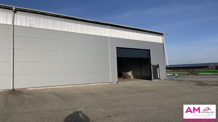 Ma-Cabane - Location Local commercial Volgelsheim, 900 m²
