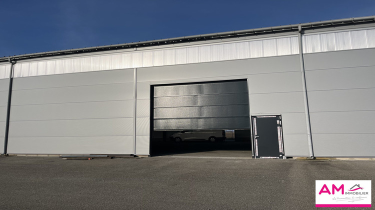 Ma-Cabane - Location Local commercial Volgelsheim, 900 m²