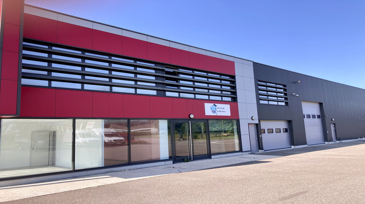 Ma-Cabane - Location Local commercial Wissembourg, 254 m²