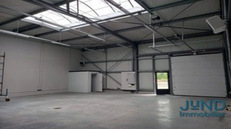 Ma-Cabane - Location Local commercial Woerth, 150 m²