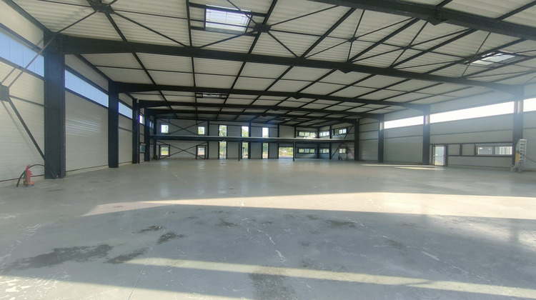 Ma-Cabane - Location Local commercial Wolfisheim, 820 m²