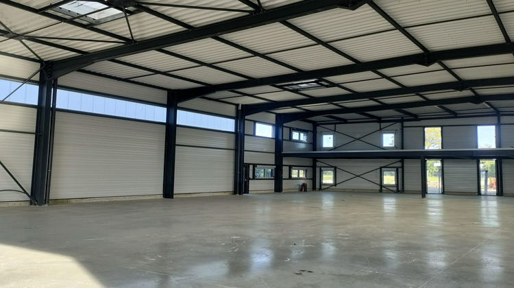 Ma-Cabane - Location Local commercial Wolfisheim, 820 m²