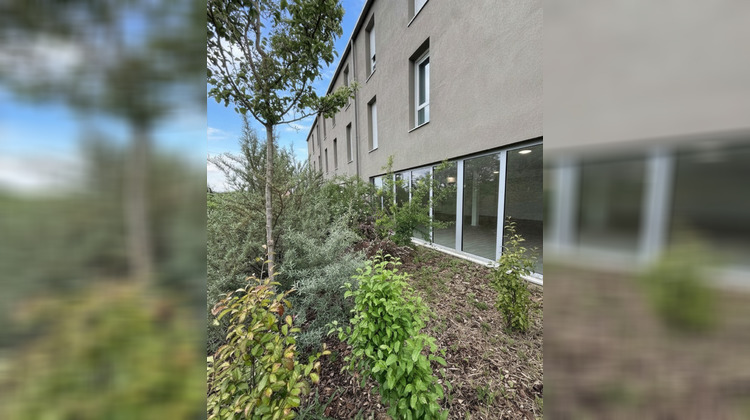 Ma-Cabane - Location Local commercial Wolfisheim, 106 m²