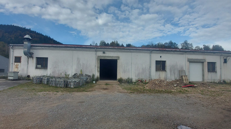 Ma-Cabane - Location Local commercial Xonrupt-Longemer, 360 m²