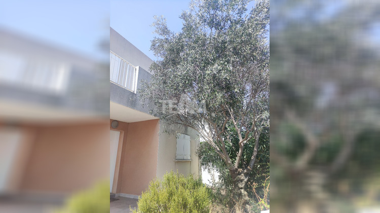 Ma-Cabane - Location Maison BALARUC LE VIEUX, 116 m²