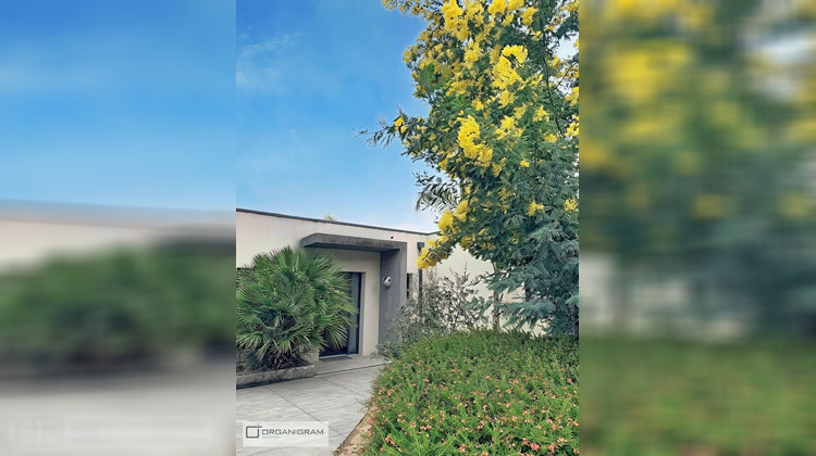 Ma-Cabane - Location Maison Grosseto-Prugna, 68 m²