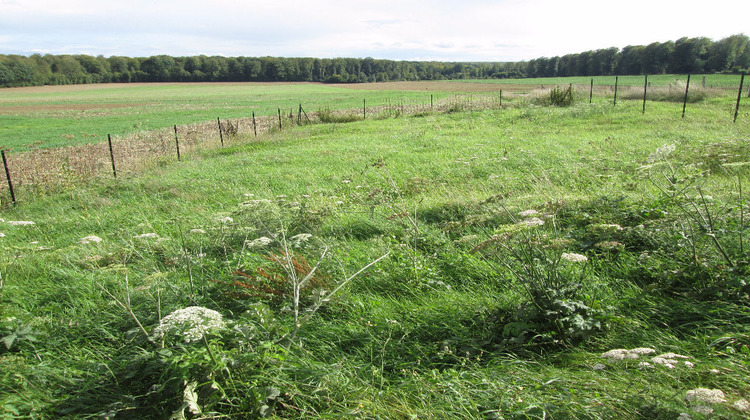 Ma-Cabane - Location Maison LES HOGUES, 130 m²