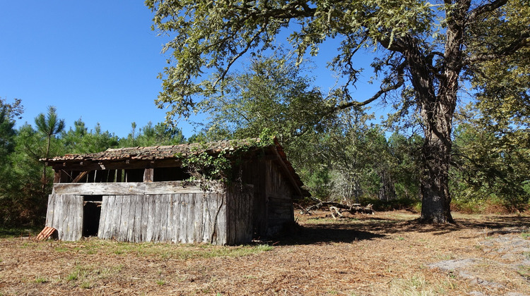 Ma-Cabane - Location Maison Préchac, 75 m²