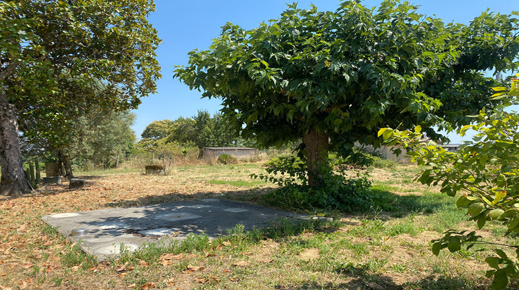 Ma-Cabane - Location Maison SAUVETERRE-DE-GUYENNE, 200 m²
