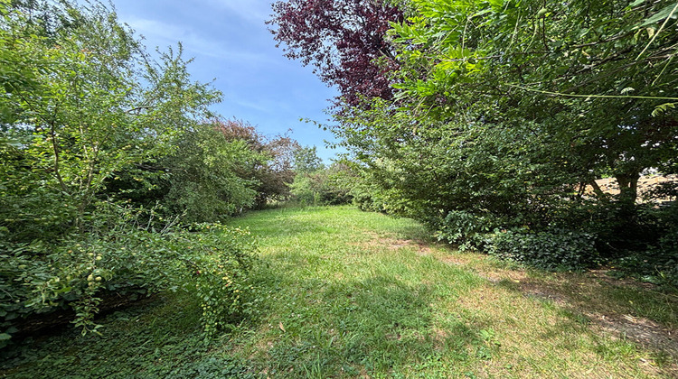 Ma-Cabane - Location Maison STEINBACH, 102 m²