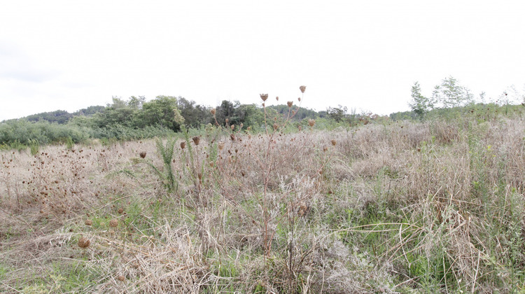 Ma-Cabane - Location Terrain Tanneron, 1500 m²