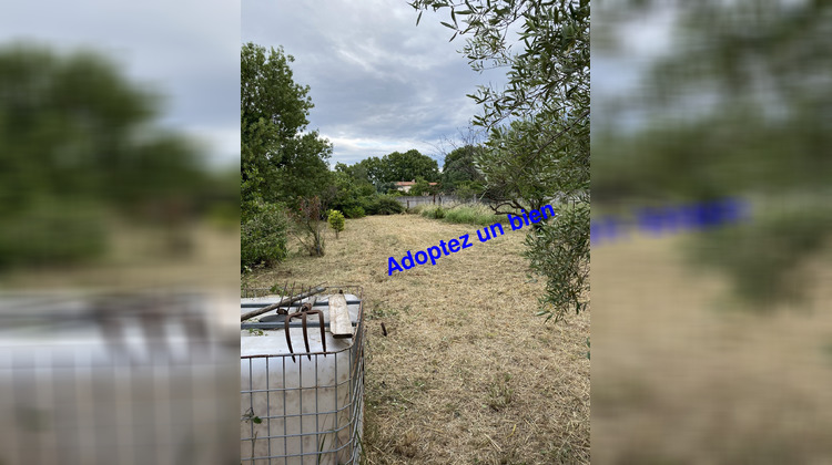 Ma-Cabane - Location Terrain Toulouges, 900 m²