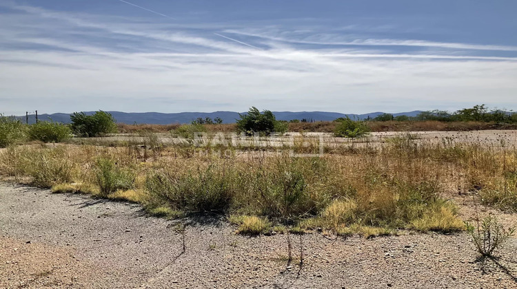 Ma-Cabane - Location Terrain Vidauban, 13620 m²