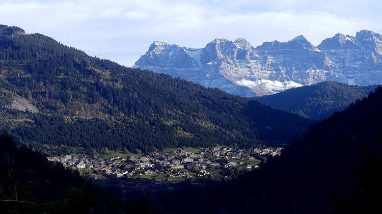 Ma-Cabane - Neuf Appartement CHATEL, 63 m²