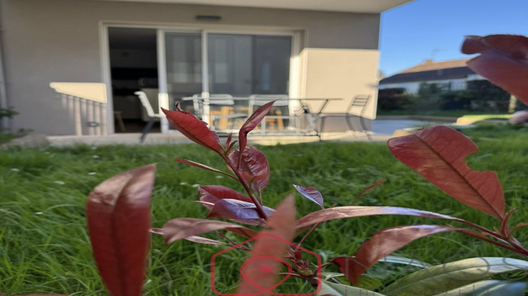 Ma-Cabane - Neuf Appartement DINARD, 32 m²