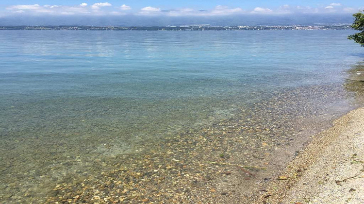 Ma-Cabane - Neuf Appartement FERNEY VOLTAIRE, 64 m²