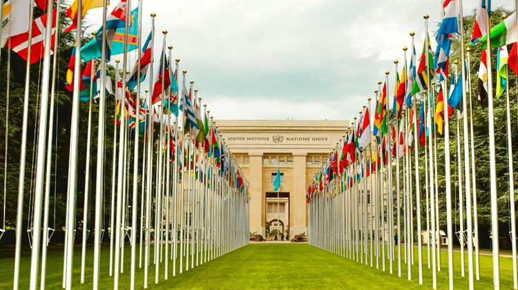 Ma-Cabane - Neuf Appartement FERNEY VOLTAIRE, 88 m²