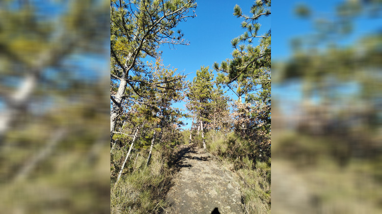 Ma-Cabane - Neuf Appartement LE BRUSQUET, 0 m²