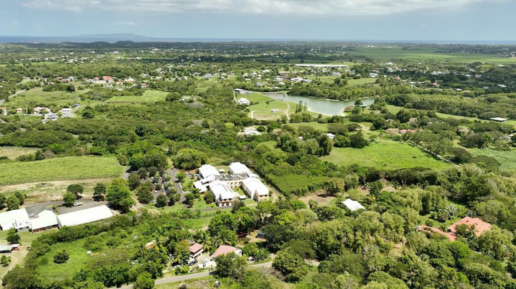 Ma-Cabane - Neuf Appartement MOULE, 90 m²