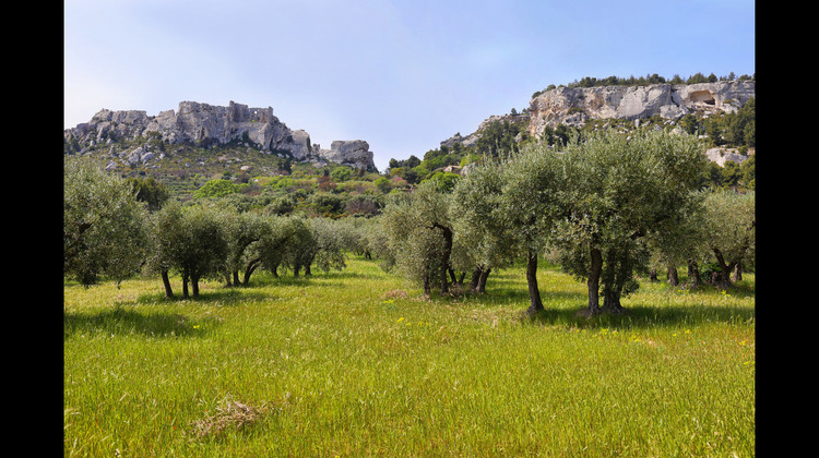 Ma-Cabane - Neuf Appartement SAINT-REMY-DE-PROVENCE, 67 m²