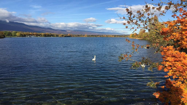 Ma-Cabane - Neuf Appartement SCIEZ, 66 m²