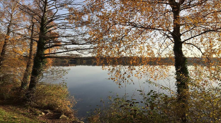 Ma-Cabane - Neuf Appartement SEGNY, 37 m²