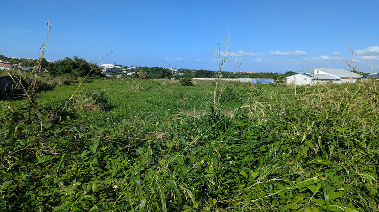 Ma-Cabane - Neuf Maison Baie-Mahault, 95 m²