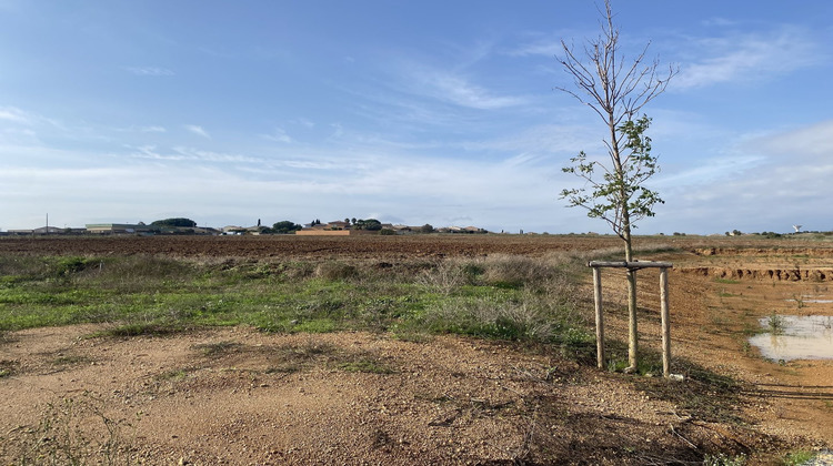 Ma-Cabane - Neuf Maison PORTIRAGNES, 90 m²