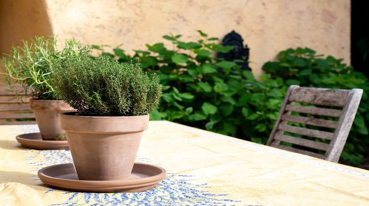 Ma-Cabane - Vacances Maison Valbonne, 188 m²